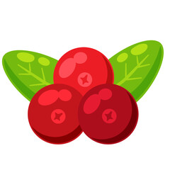 Red currant with green leaves. Cranberry berry. Healthy food and sweet dessert ingredient. Flat cartoon illustration