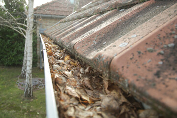 Gutter full of old autumn leaves and dirt. 