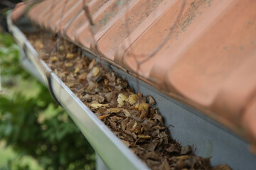 Gutter full of old autumn leaves and dirt. 