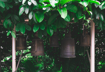 Thailand Bangkok Bells Jungle