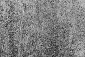 Texture, wood, wall, it can be used as a background. Wooden texture with scratches and cracks