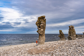 Fårö Island in Sweden. Rauks, ancient stone formations. Column like landform. Rauks often occur...