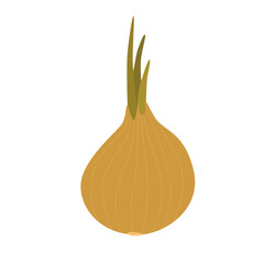 Vector illustration, onion in flat style with texture. Organic food concept illustration for kids desings and healthy food habits. Illustration can be used for package design, green grocery