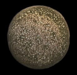 Textured background of bright planet