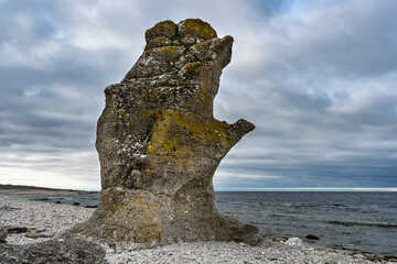 F&aring;r&ouml; Island in Sweden. Rauks, ancient stone formations. Column like landform. Rauks often occur in groups called "rauk fields". Lots of famouse limestone rauks of Gotland in the Baltic Sea.
