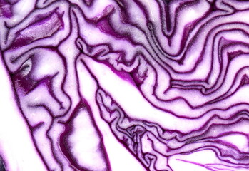 Obraz premium Red cabbage close-up. The texture of the cut cabbage. Macro red cabbage detail. 