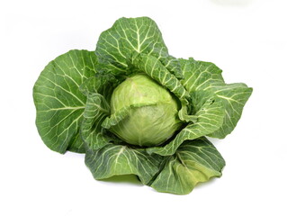 Cabbage isolated on white background. Fresh green cabbage.