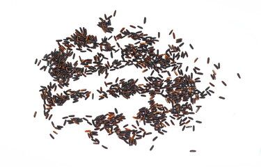 Thai black jasmine rice (Rice berry). Brown Rice isolated. Organic black rice isolated on white...