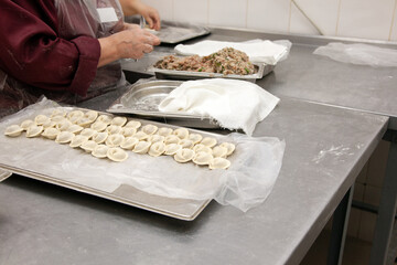 Food industry. Handmade dumplings. Woman making dumplings for sale