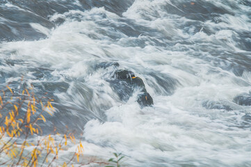 Running water in a long exposure