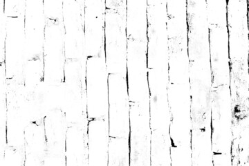 Obraz premium Abstract grunge lines texture and pattern on white