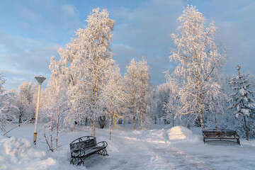 Winter in the Arctic zone.