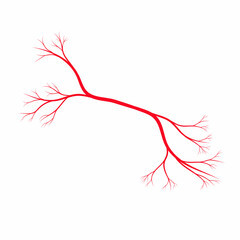 Human red vein. Vessel, capillaries, arteries, eye vein. Blood system. Concept anatomy element for medical science. Vector illustration