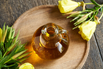 A bottle of evening primrose oil with fresh blooming evening primrose plant