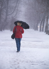 Blizzard, heavy snowfall. A blurry silhouette of a woman in a red jacket and blue jeans against a background of tall trees.
