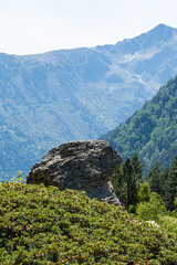 Pyrenees landscape in the Vall de Sorteny natural park, Ordino, Andorra, Catalunya, Europe
