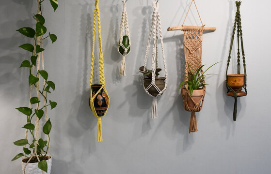indoor flowers on the wall in macrame pendants
