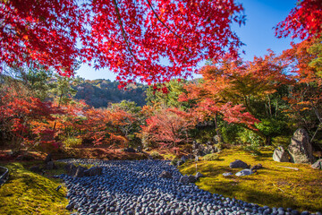 京都　宝厳院の紅葉