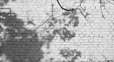 Background. Brick wall painted with white paint.