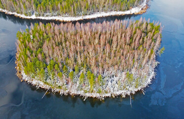 Aerial view of the green forest island. Beautiful nature landscape in winter
