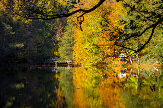 Gorgeous autumn scenery in Yedigöller or Yedigöller National Park. Autumn colors. Reflections of trees in the lake. © HuseyinEren