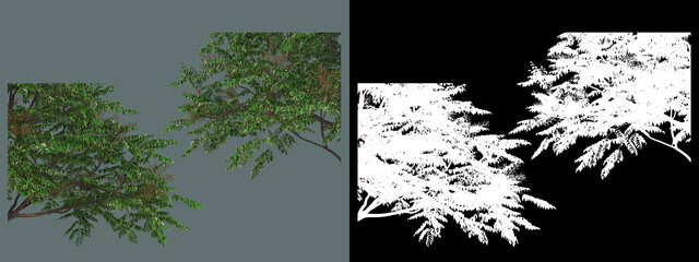 A wide variety of trees and shrubs
