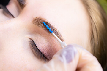macro photography of eyebrow hairs that, after the lamination procedure, fall evenly in one row