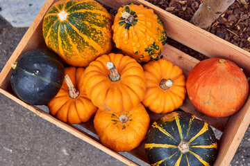 A lot of pumpkins in a wood tray