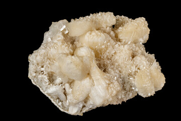 Macro stone albite mineral on white black close up