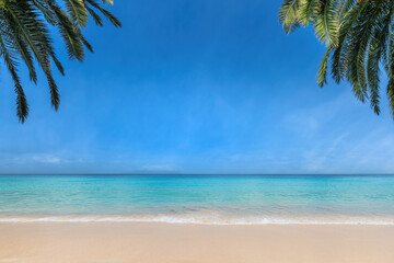Tropical beach backgrounds, palms and sea. Summer vacation and tropical beach concept.	