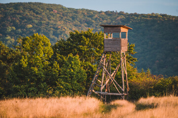 Hunting tower in wild forest. Wooden Hunter Hide High watch post tower. Hunter's observation point in forest in Europe.