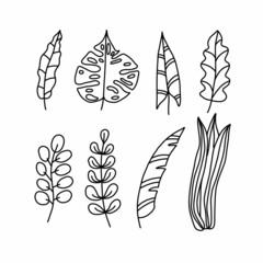 Plant elements collection in doodle style. Hand drawn decorative leaves. Tree branches.