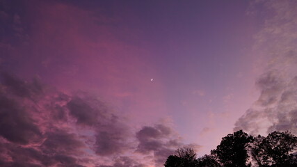 Fototapeta na wymiar Moon in Purple sky