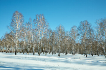 scenic winter landscape background. trees and with snow - 472500623