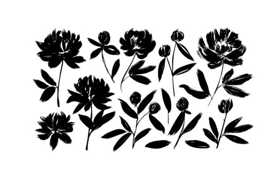 Brush painted peonies and anemones. Spring black flowers hand drawn vector set. Botanical stencil. Hand drawn paint flowers on stems with leaves and buds. Grunge style black blossom silhouettes.