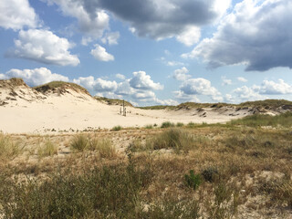 Impressive shifting dunes in Slowinski National Park near Leba - obrazy, fototapety, plakaty