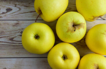 Zenith view, group,  yellow apples on old woods. 