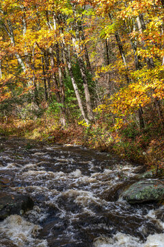 Autumn At The Rivers Edge