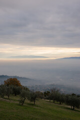 Mist and fog between valley, mountains and hills, in Umbria Italy, with trees on the foreground