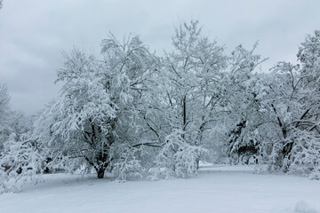 Winter view panorama of South Park in city of Sofia, Bulgaria