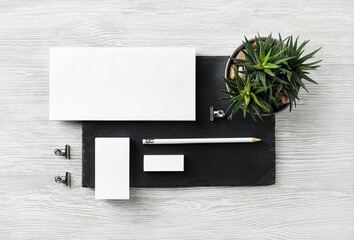 Corporate identity template. Blank envelope, business card, pencil, eraser, clips and succulent...