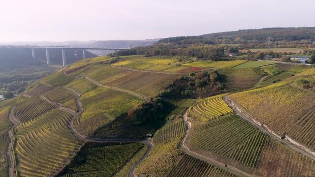 drone aerial footage wineyard plants village winningen Famous German Wine Region Moselle River with highway bridge A61