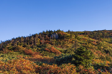 Towada Hachimantai National Park in Autumn