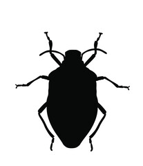 Stink bug vector silhouette illustration isolated on white background. Shield bug beetle symbol. Stinkbug shape.