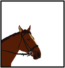 Elegant racing horse head portrait vector illustration isolated on white background. Hippodrome sport event. Equestrian riding horse for jumping over barrier show. Beautiful farm animal head.