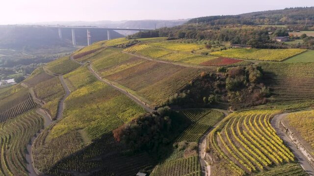 drone aerial footage wineyard plants village winningen Famous German Wine Region Moselle River with highway bridge A61