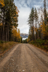 Fototapeta na wymiar road in autumn forest in British Columbia, Canada