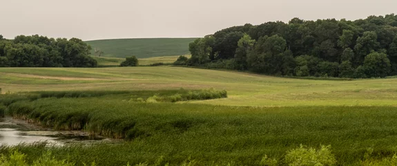Foto op Plexiglas Contoured field and wetland  © SteinwallPhotography