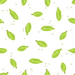 Cardamom pods on a white background. Vector seamless pattern