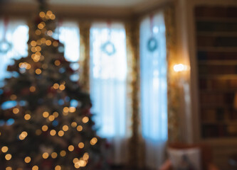 intentional soft focus of christmas tree lights in front of window